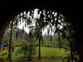 Mitano, Coorg. Coffee . Pepper . Homestay. 3 BHK - Image 4
