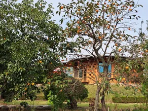 Sindoh Mud House Seorilak - Image 4