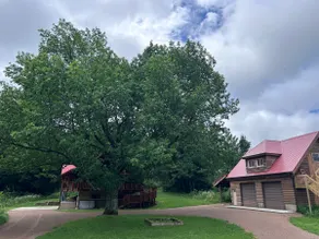 Big Guy's Homestead - Image 4