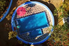 LiveSleep Art Retreat |AC Pool Resort-Forest-PetOK - Image 2