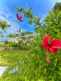 Oasis in Tahiti - WIFI - Pool - Beach access - Image 5