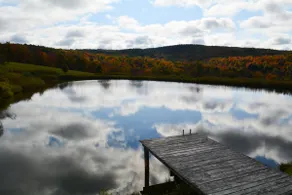 Private Country Cabin Paradise - Image 5