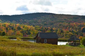 Private Country Cabin Paradise - Image 3