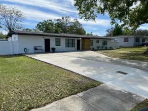 Studio Near USF+Busch Gardens - Image 4