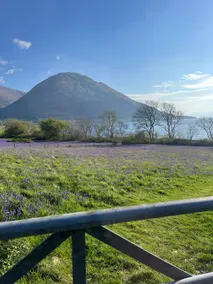 View of the Mountain - Image 3