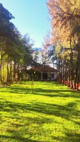 1BR Youtub Fetrd ArtVillage |Lake-Forest-Pool-Bird - Image 5