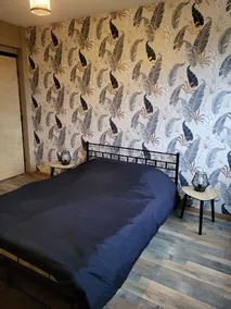 Renovated apartment with free parking space - Image 2