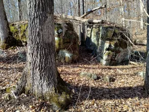 Shawnee Forest Vacation Lodge - Image 3
