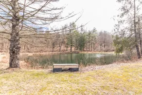 Newly renovated Retreat on 120 acres - Image 5