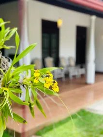 Casa Winnie - Image 3