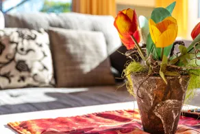 Vacation home Gut Düneburg - Image 3