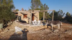 Nice space in a natural setting with parking - Image 3