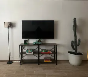 Cactus Corner-2 bed 1 bath - Image 5