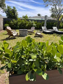 The Capri House: Fun, Grill & Beach Minutes Away - Image 4