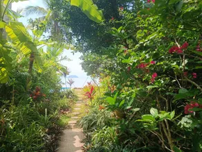Premier Beachfront Eco Bungalow - Image 5