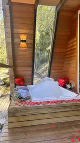 Premium Chalet • Private Waterfall• Whirlpool and Fireplace - Image 3