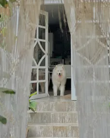 Casa Luz - Fernando de Noronha - Image 3
