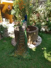 El Jardín de los Abuelos Apartment - Image 4