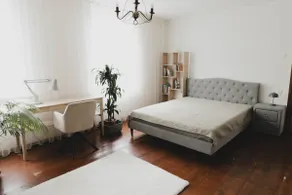 Downtown spacious attic 100 m2, 3 rooms - Image 3