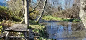 Quail Run River View | Forest-Backed | 3BR - Image 4