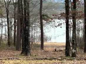 Greers Ferry Getaway - Image 4