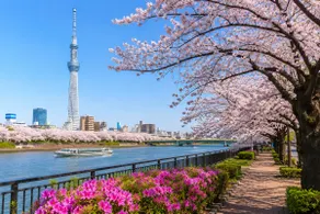 [FIORE Kinshicho] Modern apartment near Skytree | 5-minute walk from Kinshicho Station | WiFi | Maximum 2 people, A [. - Image 5