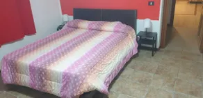 Love nest Parma - Image 4