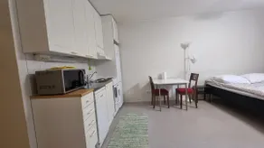 Spacious studio for one - Image 3