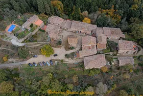 Divinae Cintoia - Image 3