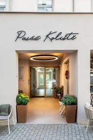 Jungle apartment in the historic center of Brno - Image 5