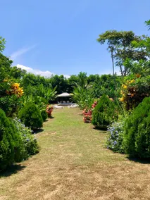 Finca la Alegria - Manglaralto, nature and beach - Image 5