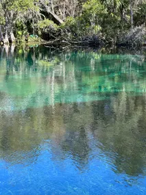 Paradise on the Rainbow River - Image 5
