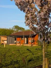 Rural Escape Cabin - Image 5