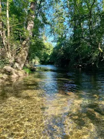 5-Bedroom Gîte with Private River Near Sarlat - Image 3