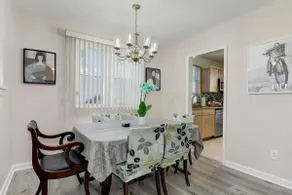 Modern living for visiting DC/UMD 4 beds - Image 3