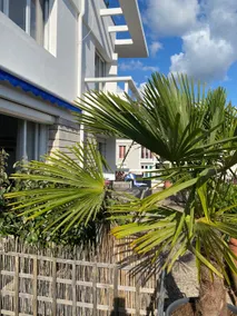 Apartment with terrace - Image 2