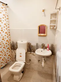 Folg de Fidal Studio South Goa - Image 4