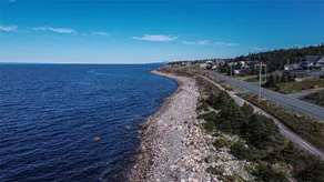 Seal Cove B&B - Ocean Front Apartment - CBS - Image 3