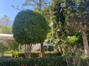 The golden room with private garden - Image 2