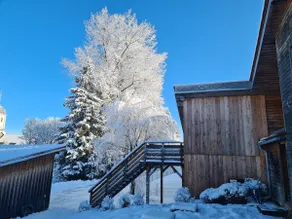 Gîte sous le saule - Image 4