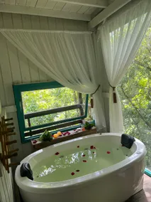 Cottage in the woods - Image 5