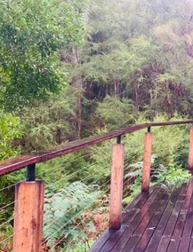 Couple’s Bush Haven - Image 2