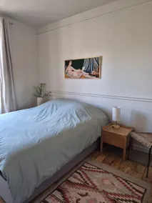 Le petit Martel, sauna, terrace, city center - Image 4