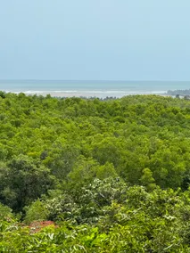 Bilva Studio Villa: Duplex 2BR |Gokarna |Homeyhuts - Image 4