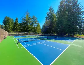 Paddle Board Chalet/Lake/Pickleball/EV Charger - Image 4