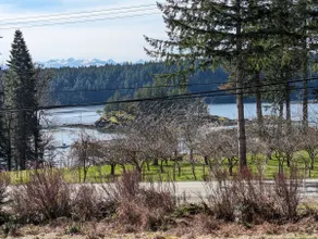 Quadra Island Cabin - Image 3