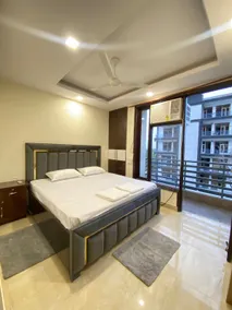Comfy 1 bhk Apt. in South Delhi - Image 2