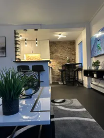 Newly remodeled downtown Apt. - Image 5