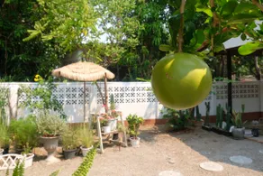 Quiet in the middle of the city, Thai retro double bedroom B&B by the Ping River, free use of bicycles - Image 4