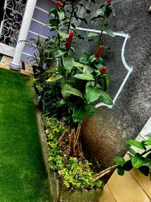 furnished apartment Golf bastos - Image 4